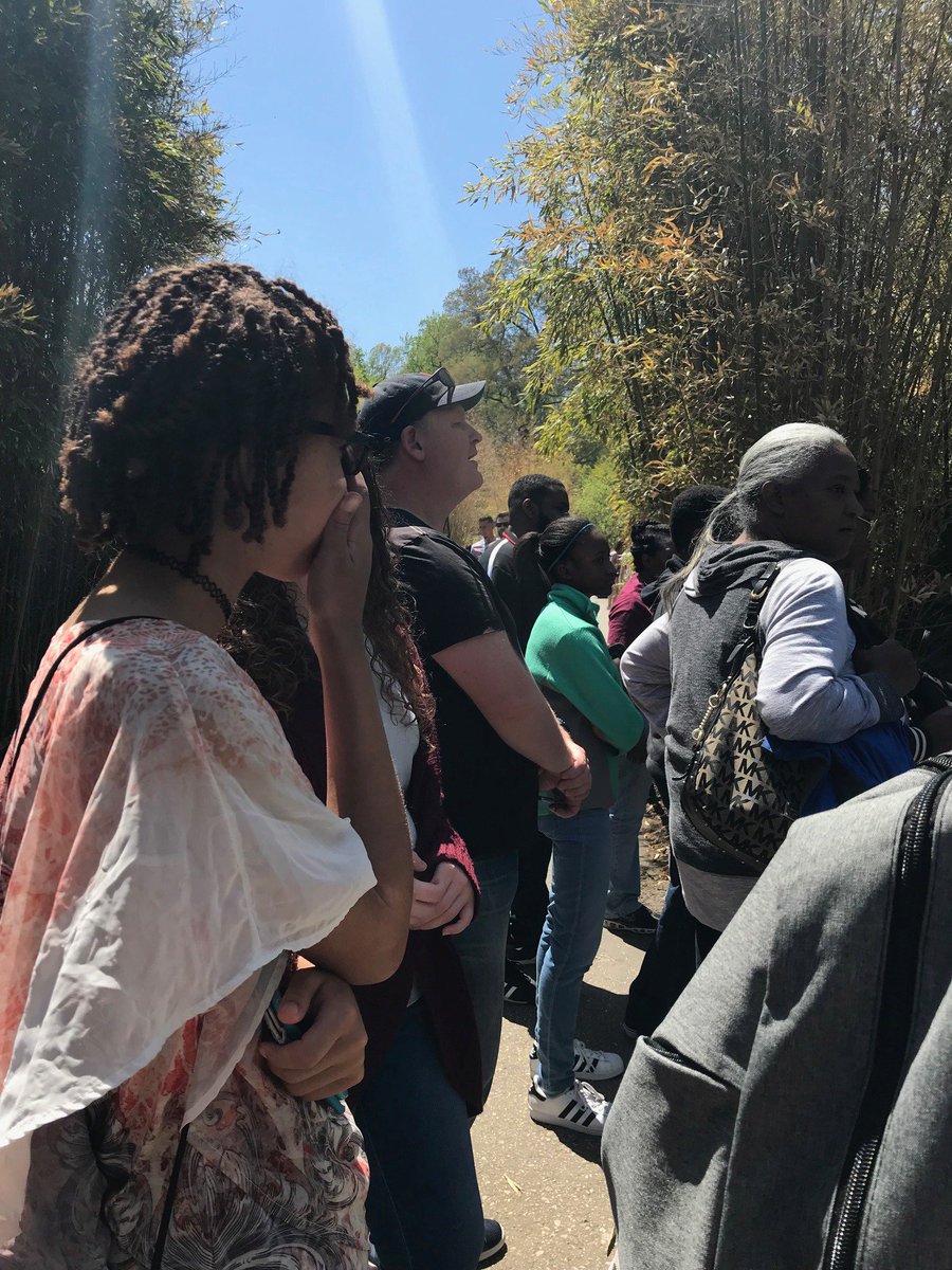 DCPS middle school students visit National Zoo in preparation for their panda service learning project in Chengdu, China this summer! @DCGlobalEd @NationalZooDC #dcpsstudyabroad #pandaconservation