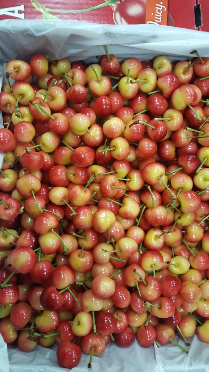 Beautiful Rainier cherries packed for Thailand 🍒🍒🍒
#RainierCherries #Supersweet #Crunchy #Juicy #Delicious #Fresh #Cherries #Awesome #Foodporn