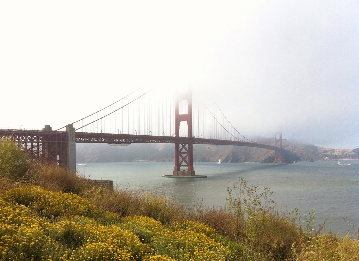 Happy 81st birthday to the best cuddle buddy a cloud could have