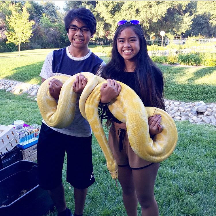 Snake handlers 😅🐍🐍 #burmesepython #snake #iamaverylopez #averylopez #birthday #party #fun
