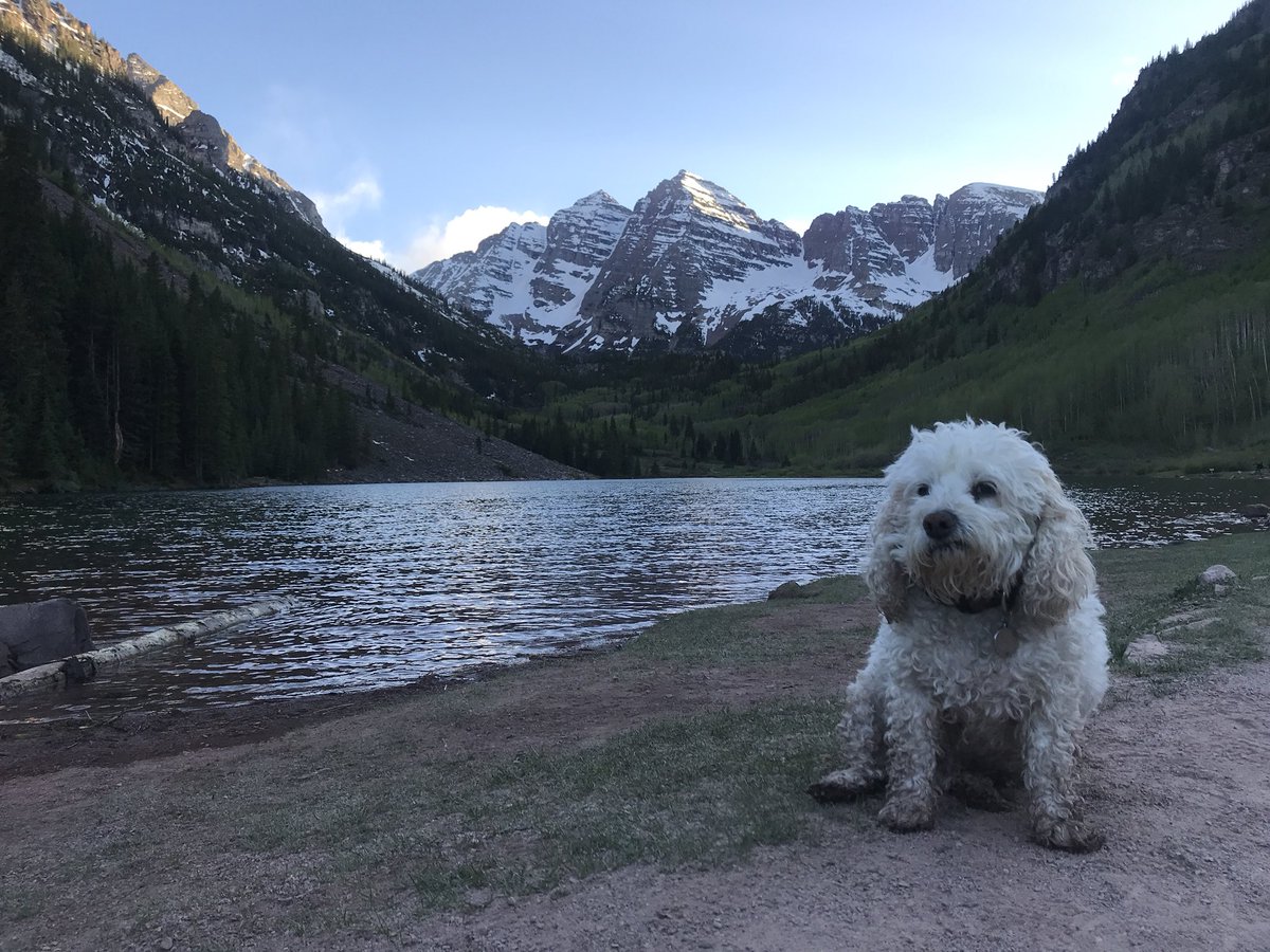 PuderEmily's tweet photo. Went up the bells with my little angel #PRBuffs https://t.co/yRXHVcL4Yg