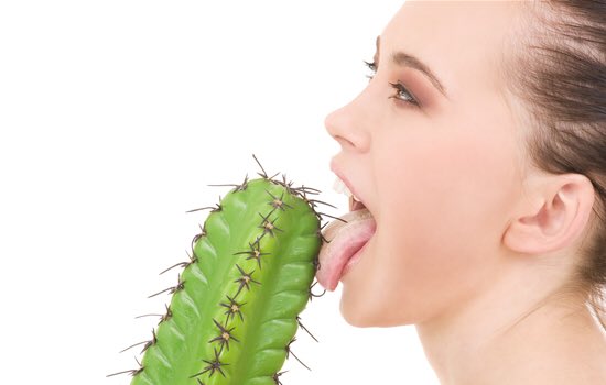 chit chat and lick some cactus with me