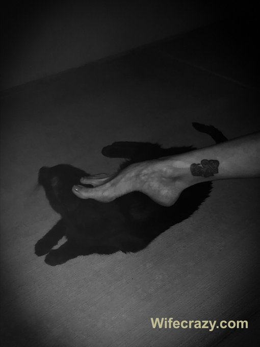 What does your foot shape say about your personality?  #perfectfeet #Stacie https://t.co/zdZCeOZoIH<a href="/tag/perfectfeet"class="tags"><span>#perfectfeet</span></a><a href="/tag/stacie"class="tags"><span>#stacie</span></a>