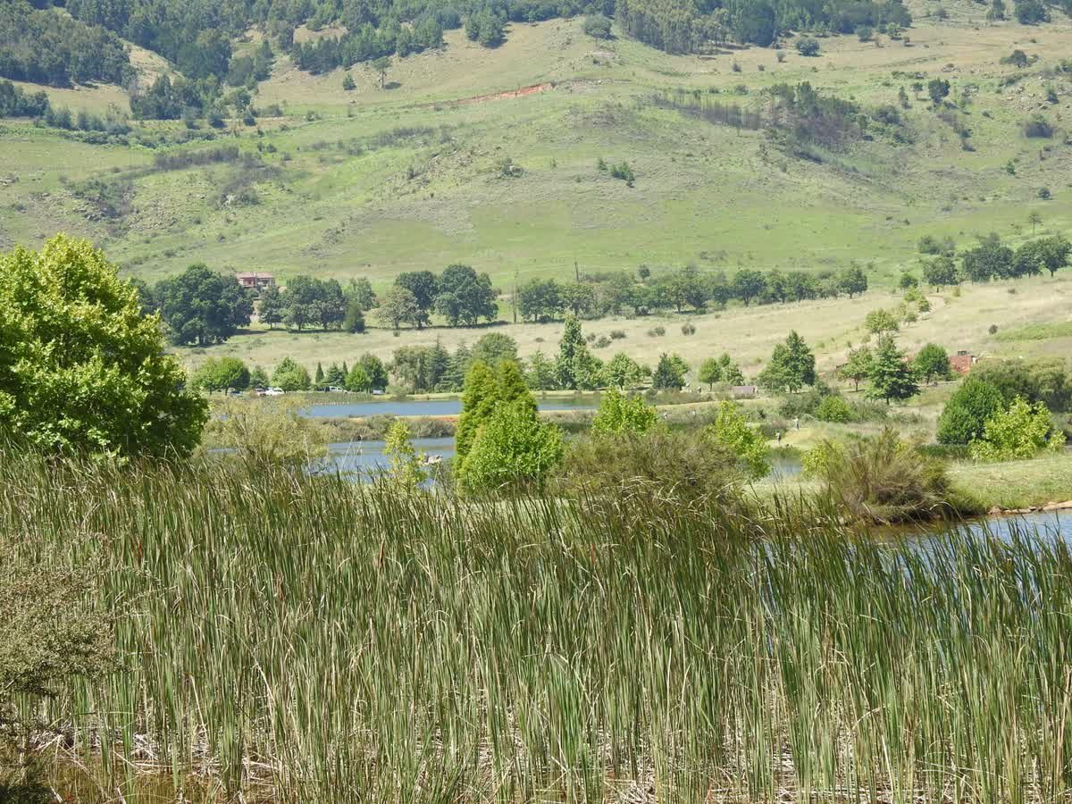 Walkersons's tweet photo. Experienced fly-fishermen (and ladies) and novices alike are welcome at @Walkersons. Our guides are on hand to help you!  #dullstroom https://t.co/JZPzrmQj8P