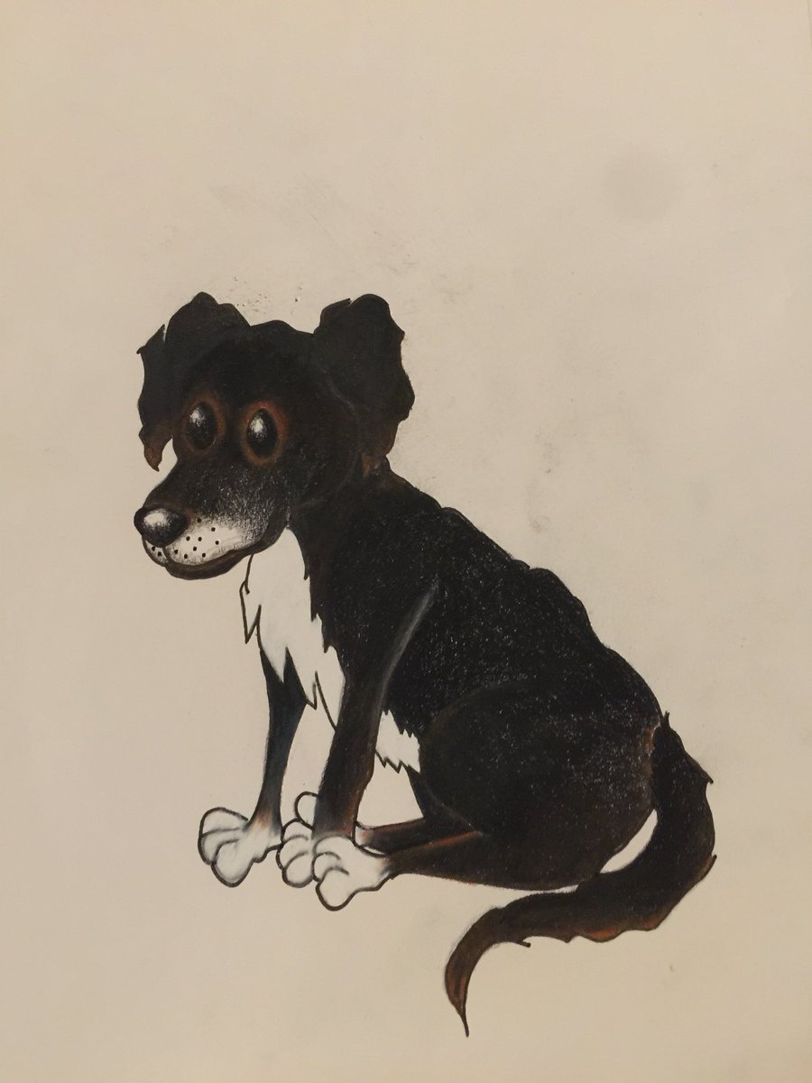 Dash #maxtbooker #Illustrator