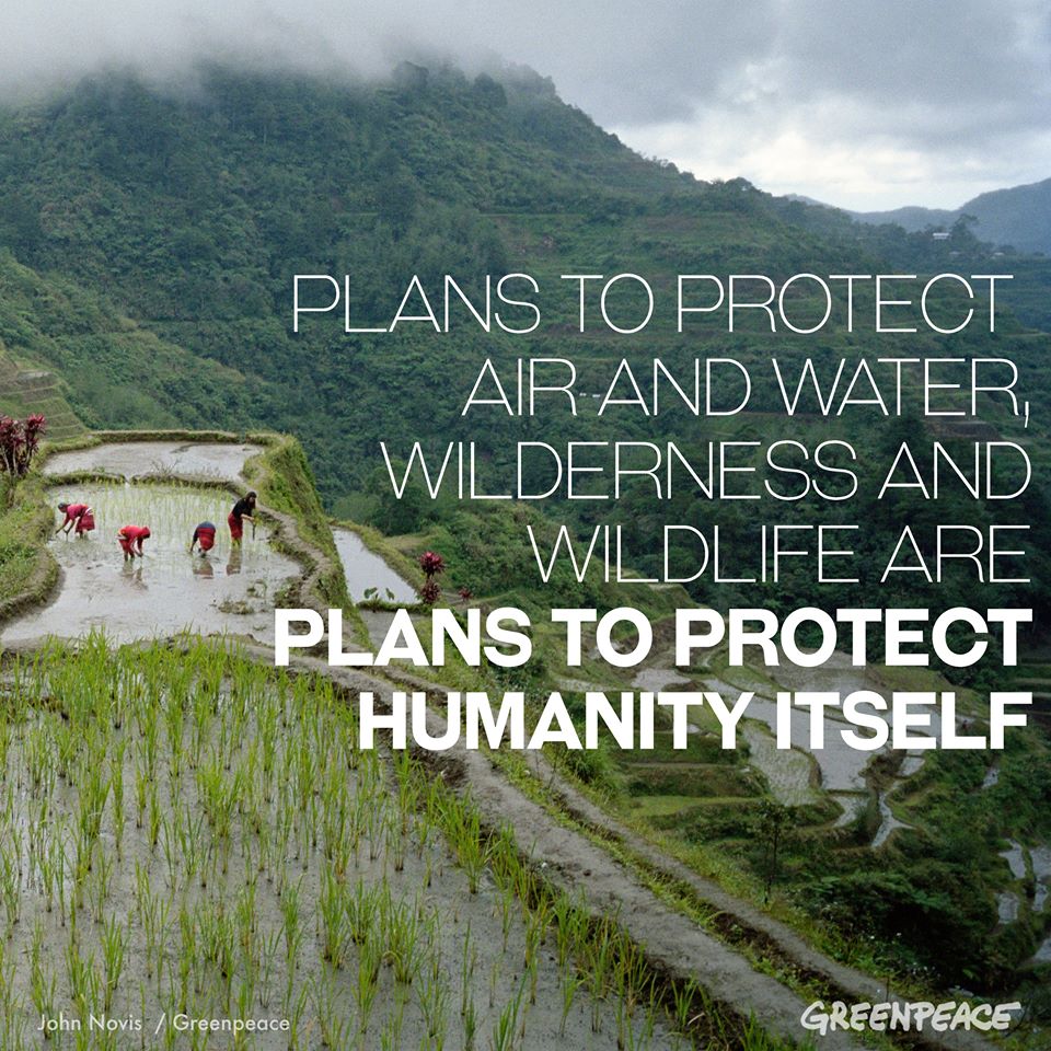 Greenpeace's tweet photo. Climate change is not just an environmental issue. It’s a human rights issue. Let's hold the Big Polluters to account >>> https://t.co/0RaUsrpKhJ https://t.co/EdKMkqIcVj