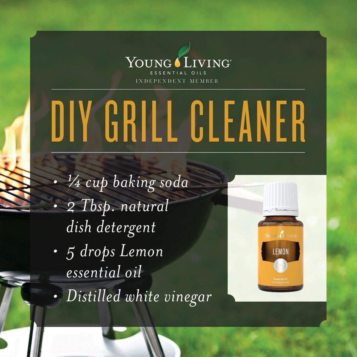 lizzap_yleo's tweet photo. DIY chemical FREE cleaner to get your grill ready for the Memorial Day holiday!

#bbq #grill #pork #barbeque #brisket #grilling #cooking #gotsmoke #grillstuff #fireitup #bbqtech #bbqbestfriend #barbecue #steak #chicken #grilled #beef  #holiday #holidayfun #holiday #holidayweekend https://t.co/IKyJe5vUOs
