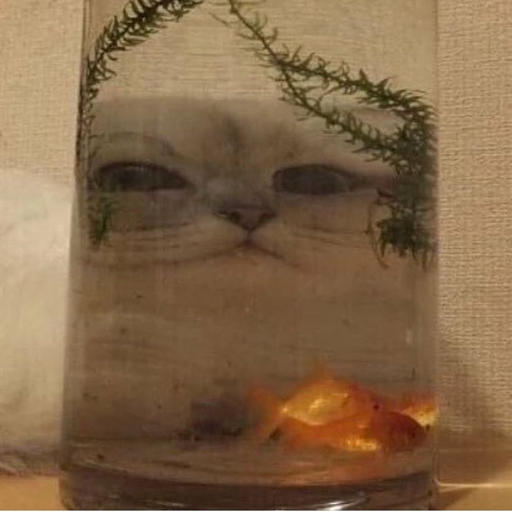 [ TEXT to: <a href="/SkiesCafune/">✄┉℣┉</a> ]

> What do you think of this image?