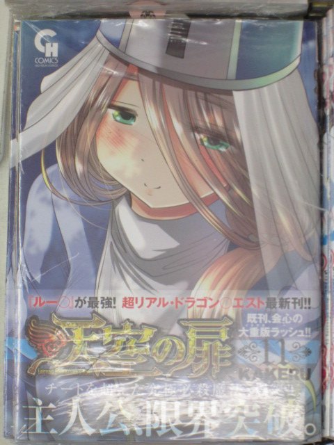 天空の扉のtwitterイラスト検索結果 古い順