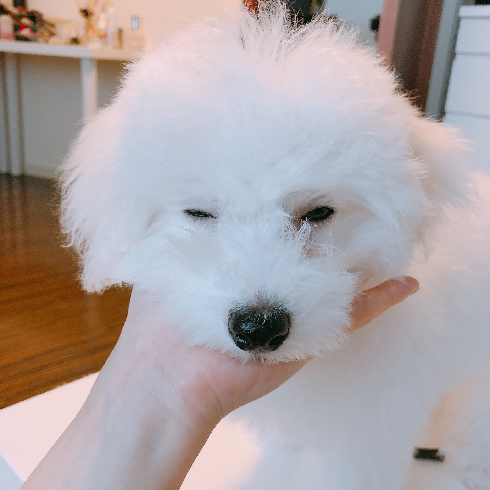 関根りさ さりげなく銀行名が三菱東京ufj銀行から三菱ufjに変わったもんだから振込み用紙書きまちがえたわ こんな顔しちゃうわ T Co 57nrwkopqw Twitter