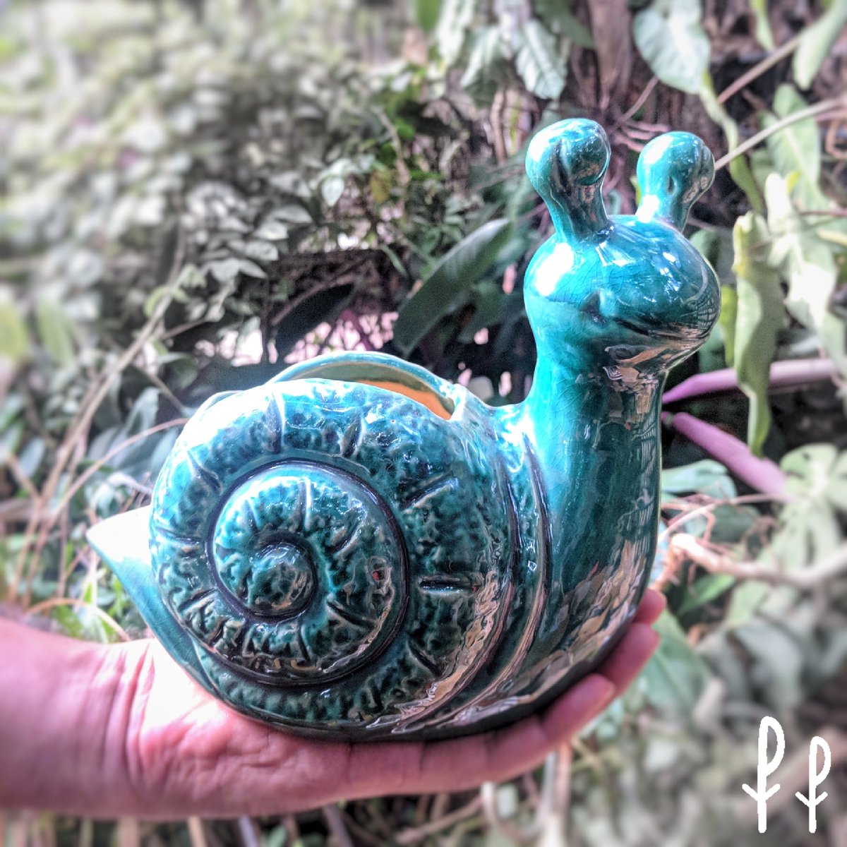 #newstockalert! Some cool new #pots & #planters. DM or WhatsApp us. We'd be happy to share pics of the whole collection!#ceramicpot #ceramic #gardendecor #homedecor #potsandplants #plantnursery #PlantPeople #mumbai #adorbs #pot #pottery #plantporn #ohsocute #snail #ceramicplanter