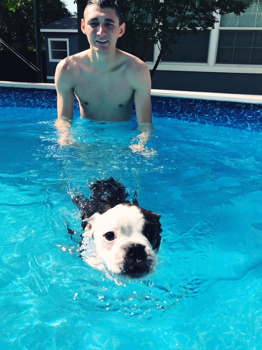 bedeshazo's tweet photo. Swimming today with my little family! ☀️☀️ https://t.co/yGUcfTUgpR