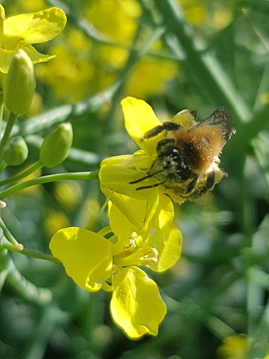 Christophe Rativeau tweet media