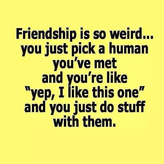 fuckedchic's tweet photo. TRUE THAT`S HOW ALL THE BEST 
FRIENDSHIPS START LOVE VICKY XXXX https://t.co/xq9J8QGIk9