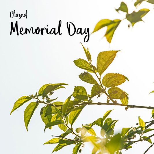 FourKidsCoffee's tweet photo. We are closed today as we observe Memorial Day. We’ll reopen tomorrow, May 29 at regular hours. https://t.co/2QfbO43tIM