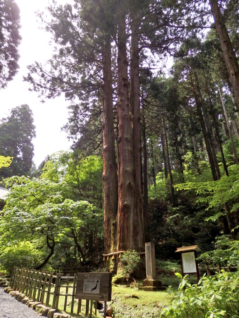 匕 キ イシ夕 Ar Twitter 御岩神社のオリジナル御朱印帳は４種類 賀毗禮神宮の御朱印は登拝した方にしか授与されません 神社 日立 日立アルプス 御岩山 御岩神社 賀毗禮神宮 御朱印帳 御朱印 ハート石