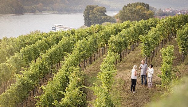karryontravel's tweet photo. Step up your Europe game: unique experiences make a river cruise special https://t.co/mvvb30ikLg @UniworldCruises #uniworld #europe #flyfree #economy #premium #business #luxury #uniqueexperiences #airoffer #rivercruising #experiences #aworldofluxuryawaits #allinclusive https://t.co/T7uZLn86J5