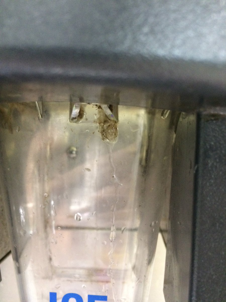 biking_bates's tweet photo. @7ElevenCanada Toronto spadina and bloor ice machine clearly hasn’t been cleaned in months. Check out this slime buildup. Bonus points if you have them clean the iced coffee dispenser nozzles. Aaannd probably the pop and slurpees while you’re at it. #shudder https://t.co/AxGN0n2Y3q