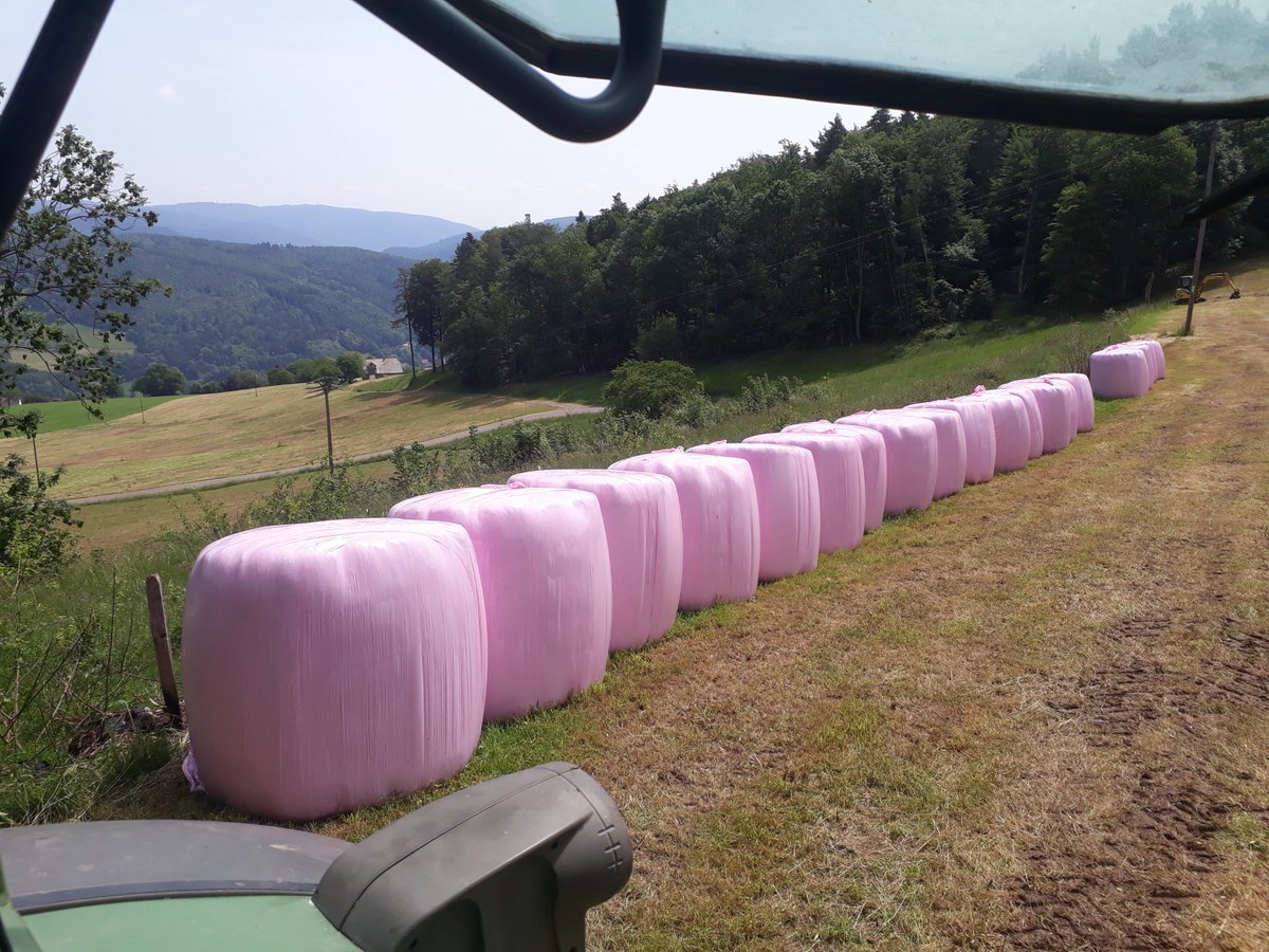 CyrilDesaga's tweet photo. quand les agriculteurs rallies solidarité et travail cela met de la couleur dans le paysage. Le rose  pour  la recherche contre le cancer du sein et le jaune contre le cancer des enfants. #agrisolidaires https://t.co/uugMUHFbRU