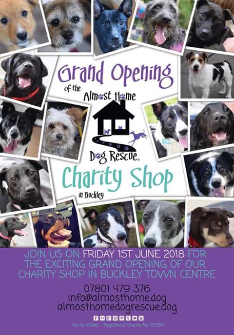 @AlmostHome_Dog charity shop opening Friday 1st June in #Buckley #NorthWales
#AdoptDontShop 
#dogcharity #dogfriendly

@NorthWalesChron 
@NWalesCommunity 
@FlintshireChron