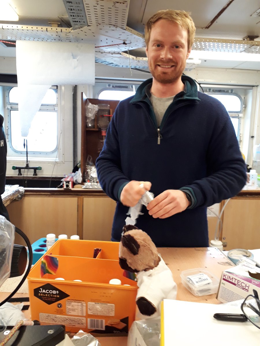 LT_ResearchBear's tweet image. Busy night in the lab. I've helped Elaine #DIAPOD with some chlorophyll filtering, Torgeir @OceanSeaIceNPI with his CDOM (although I was looking for biscuits!) &amp;amp; @RTuerena @project_ARISE with the dissolved isotopes. Need cuppa and a lie down after all that. #UKinArctic @NERC_CAO