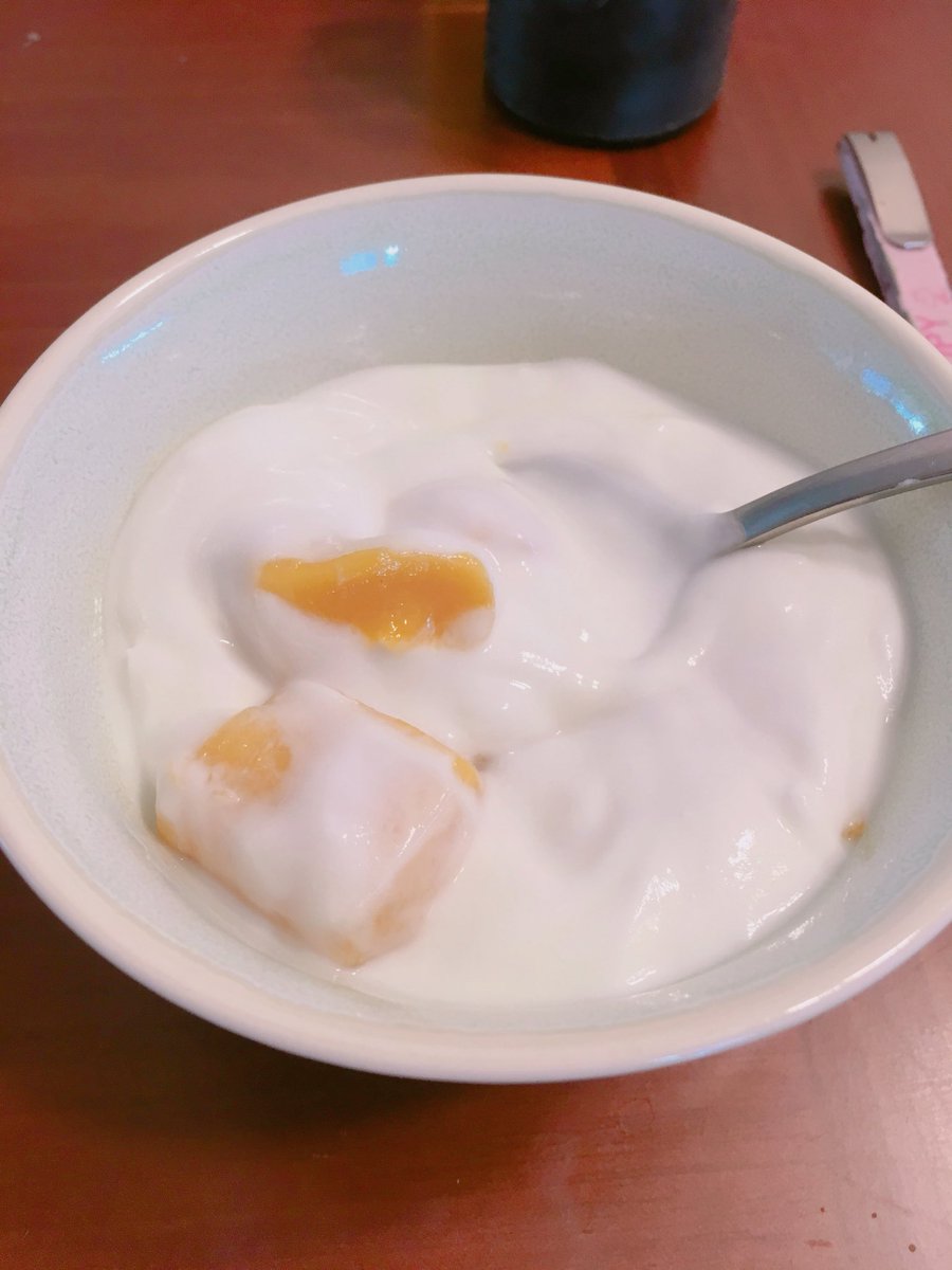fumai0710's tweet image. 님들 제가 존맛 레시피 찾음 ㅡ 일본인 요리사분의 트윗보고 따라한건데 큰통으로 파는 플레인 요구르트사서 안에 7D건망고 한봉투 박아넣고 하루뒤에 먹으면 요구르트 꾸덕해지고 말린망고들이 유청흡수해서 두꺼워지고 졸깃 ㅡ 해짐 ㅡ 맛있어요b(사진은 하루 지나고 찍은 것)☺️