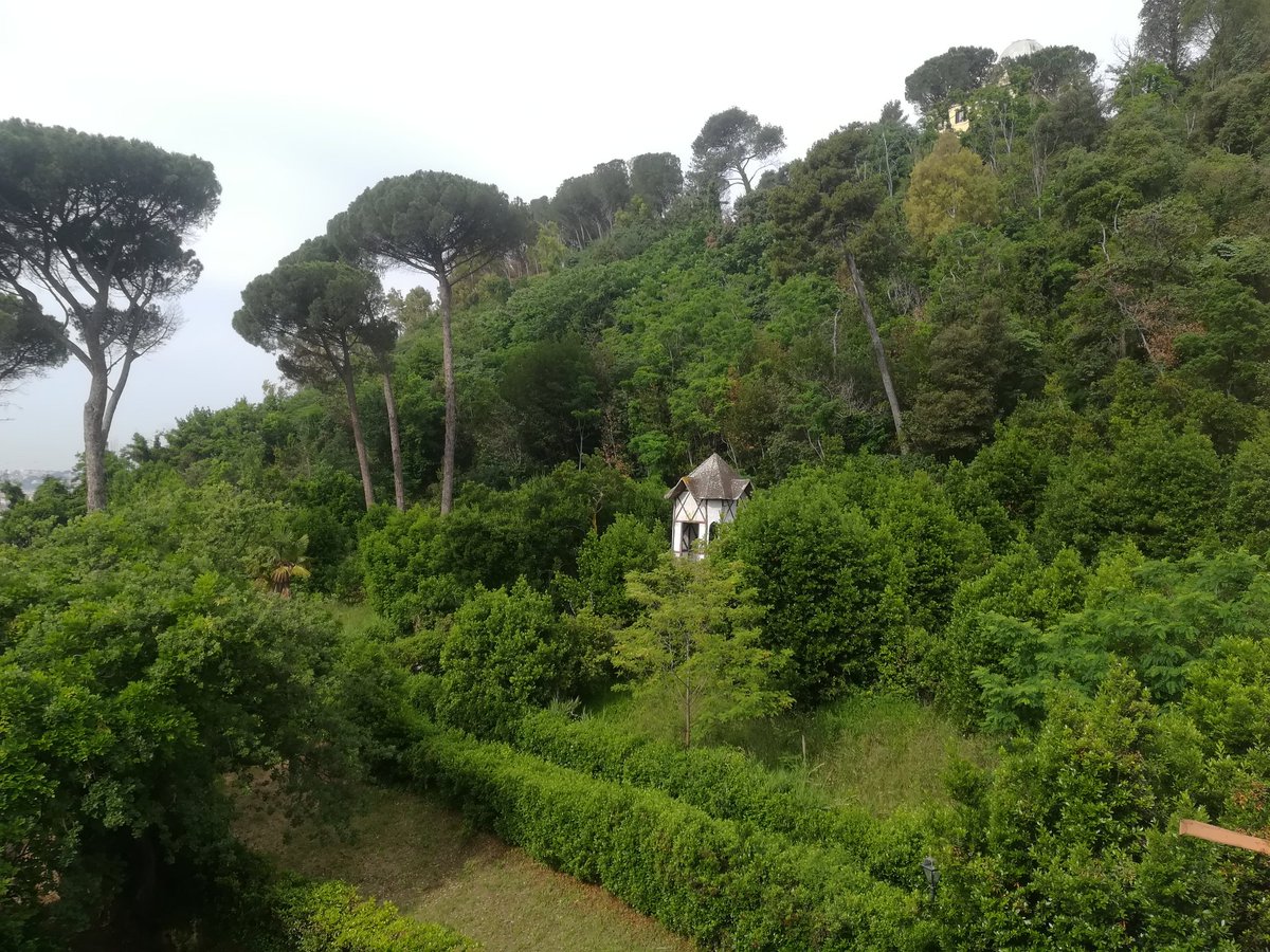 EnteRomaNatura's tweet photo. Buongiorno dalla #RNMonteMario #RomaNatura @RegioneLazio https://t.co/hMhnM7up0P