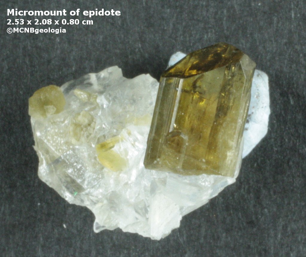 MCNBgeologia's tweet photo. Micromount with nice and well formed epidote crystal from Ötztal, Tirol, Austria preserved in @MCNBgeologia with MGB 18768 @museuciencies #MineralMonday #Mineralogy #MCNB #micromount #FelizLunes #HappyMonday. https://t.co/aVFbWnfe5T