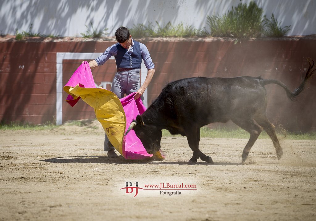 barri74's tweet photo. Mañana en #Madrid #29Mayo @LasVentas torea un torero @davidgalvan92 @infodavidgalvan que con su toreo y esa sonrisa conquistará a su afición. #SUERTE
📸:@Montealto_UNJ https://t.co/mMfVaom3jq