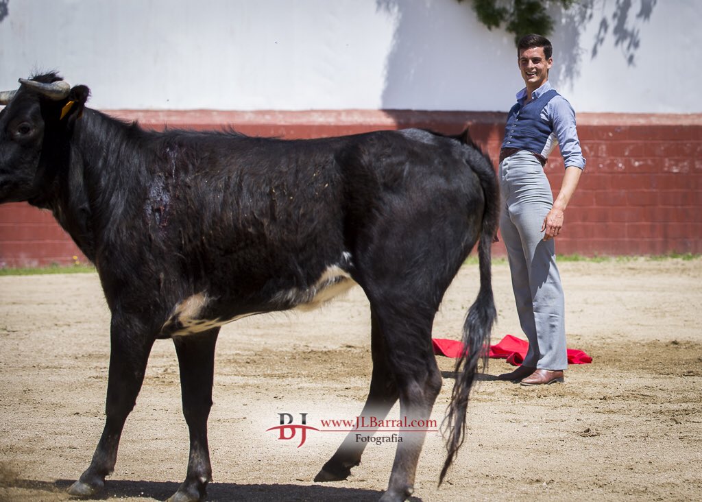 Mañana en #Madrid #29Mayo <a href="/LasVentas/">Plaza de Las Ventas</a> torea un torero <a href="/davidgalvan92/">大卫</a> <a href="/infodavidgalvan/">info David Galván</a> que con su toreo y esa sonrisa conquistará a su afición. #SUERTE
📸:<a href="/Montealto_UNJ/">Ganadería Montealto 🇪🇦</a>