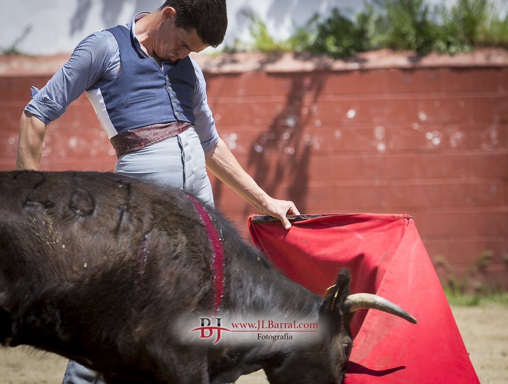 barri74's tweet photo. Mañana en #Madrid #29Mayo @LasVentas torea un torero @davidgalvan92 @infodavidgalvan que con su toreo y esa sonrisa conquistará a su afición. #SUERTE
📸:@Montealto_UNJ https://t.co/mMfVaom3jq