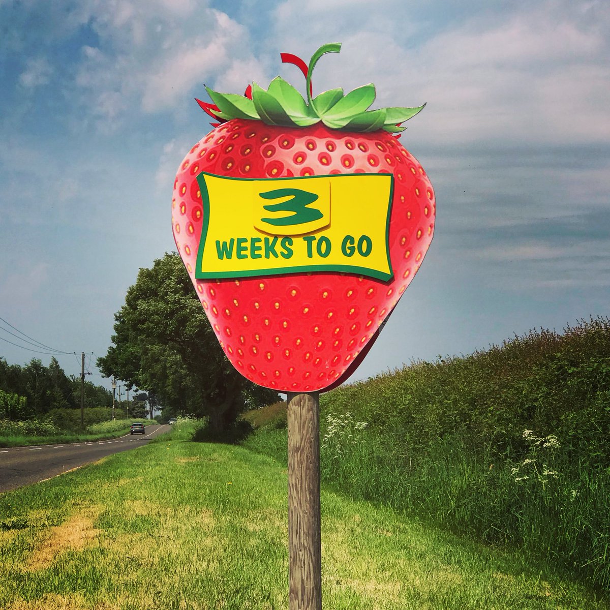 Whoop whoop 🙌🏼

#cattowsfarm #strawberries #pickyourown #leicestershire #localproduce #zerofoodmiles