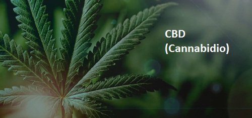 CannapressoCbd's tweet photo. WHAT IS CBD OIL—AND WILL IT REALLY RELIEVE YOUR CHRONIC PAIN AND SLEEP PROBLEMS?
https://t.co/fvI04mWWPf
#CBD #cbdoil #cbdwater #cbdlife #cbdoils #cbdspray #cbdoillvape #cbdoilforsale #cbdoilpen #cbdvape #cbdvaper #cbdvapepen #cbdvapeoil #cbdvapor #cbdvapehemp #cbdvapes https://t.co/oNG8LLLDs4