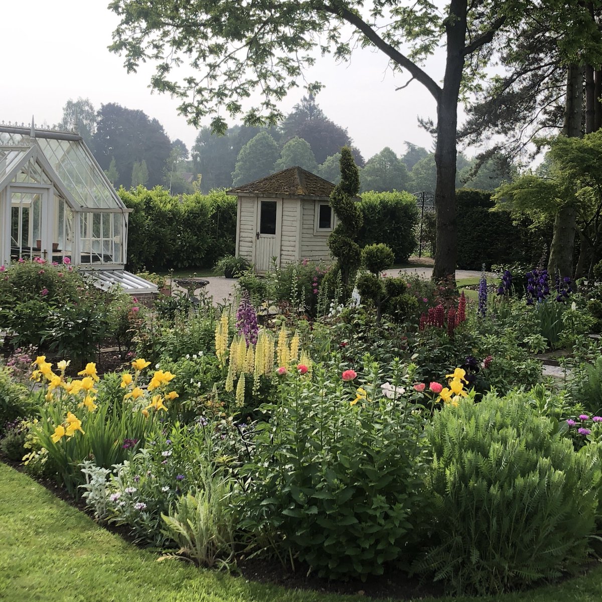 Morning light at Holm House - open day today <a href="/SuffolkNGS/">NGS Suffolk</a> <a href="/NGSOpenGardens/">National Garden Scheme</a>