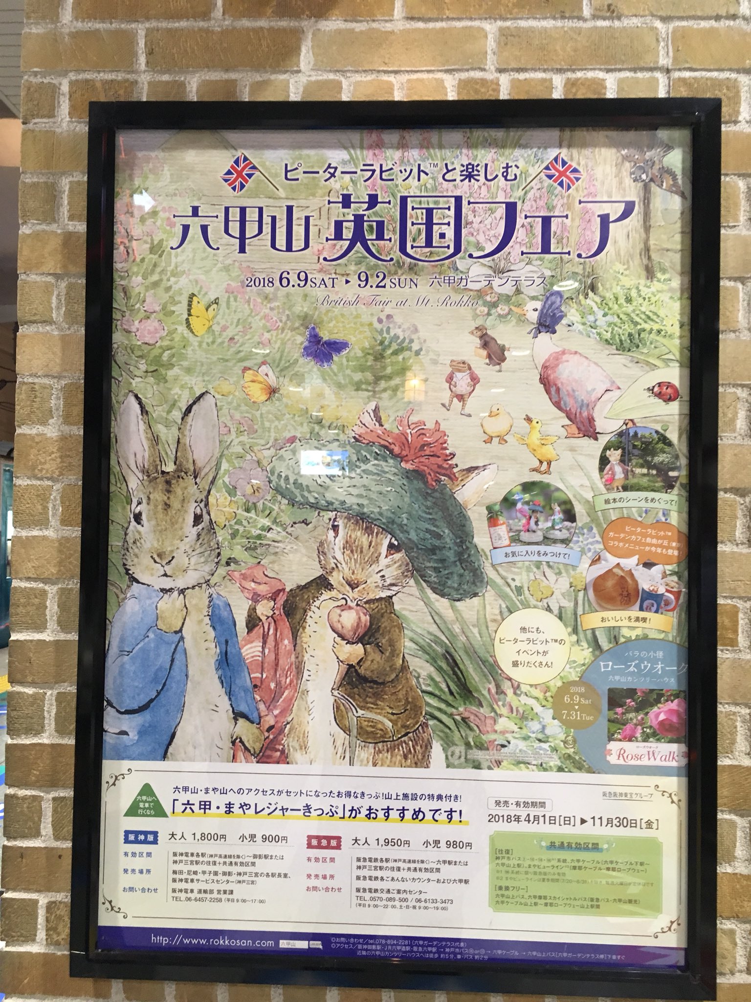 تويتر 眼福ユウコ على تويتر ピーターラビットと楽しむ六甲山 英国フェア のポスターを発見 原画をかなり拡大してあるので細部がわかる 紙の目は細かいかな T Co Qxtmysojnb