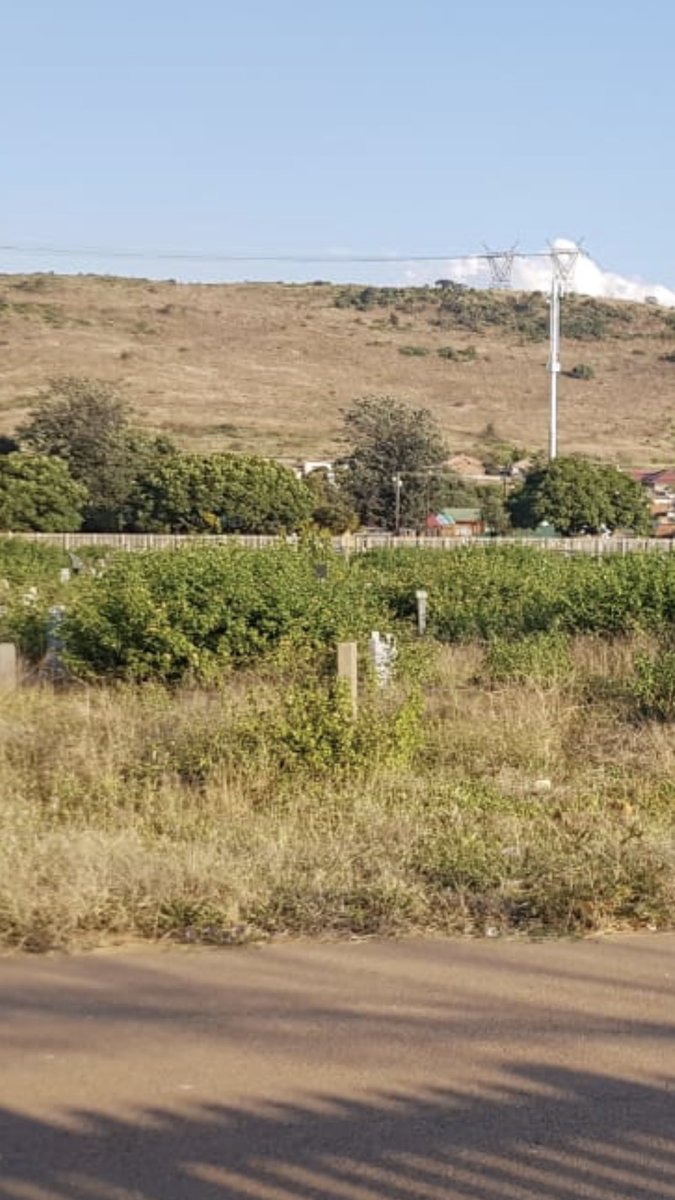 Abramjee's tweet photo. Dear Mayor @SollyMsimanga @CityTshwane - What is being done to improve the poor state of the Atteridgeville Cemetery? How can residents visit grave sites with conditions like these? #ImproveServiceDelivery https://t.co/7EEKpOn2Ru