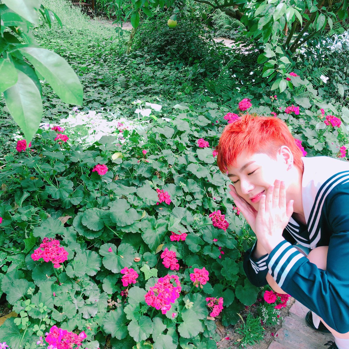 VICTON1109's tweet photo. [#빅톤] 앨리스의 월요병 퇴치를 책임지는 세라빅토니 사진 공개!💙💛
흩날려간 꽃잎 찾으러간 세세, 병아리, 숩숩이.jpg

#VICTON #오월애 https://t.co/uj5mx0pwem