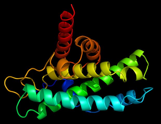 CardioResearch's tweet photo. Higher protein intake helps heart failure patients to live longer, shows study https://t.co/VVZ8B2Q0nM https://t.co/FtPtYZ6XLu