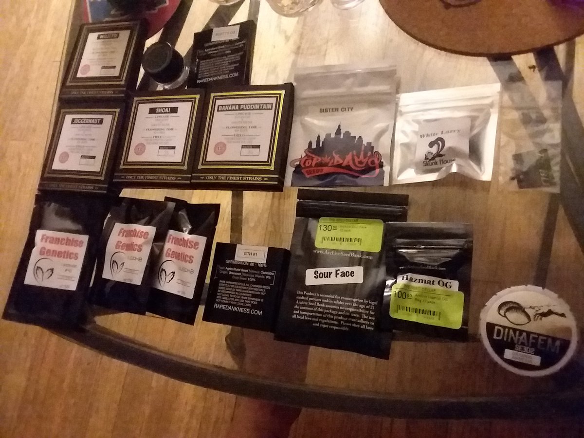 TheTerpHunter's tweet photo. That pre pre-run!!
#TerpHunters #CollectionSelection
#FutureTerps from top to bottom #Mojito #LemonadeGelato #ScottsOG #Juggernaut #Shoki #Bananapuddintain #SisterCity #WhiteLarry #GodBud #Orange43 #OJSDKB #GTH #SourFace #HazmatOG #AmnesiaHaze https://t.co/DUrZ0D6e7J