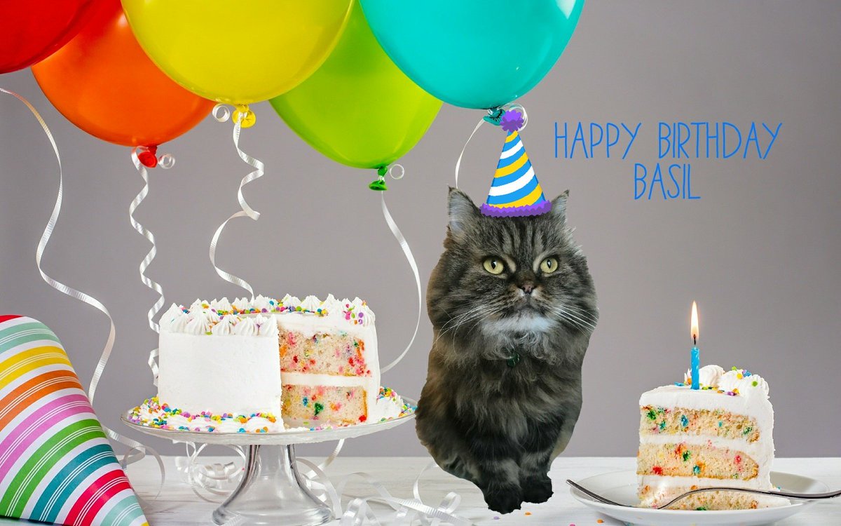 Angeladilanzo's tweet photo. Happy Birthday my dear Basil @fluffybasil I wish you a pawmazing day, ๐๐พ๐ #BasBday we love you fluffy boy ๐ https://t.co/eIMhfLv5fb
