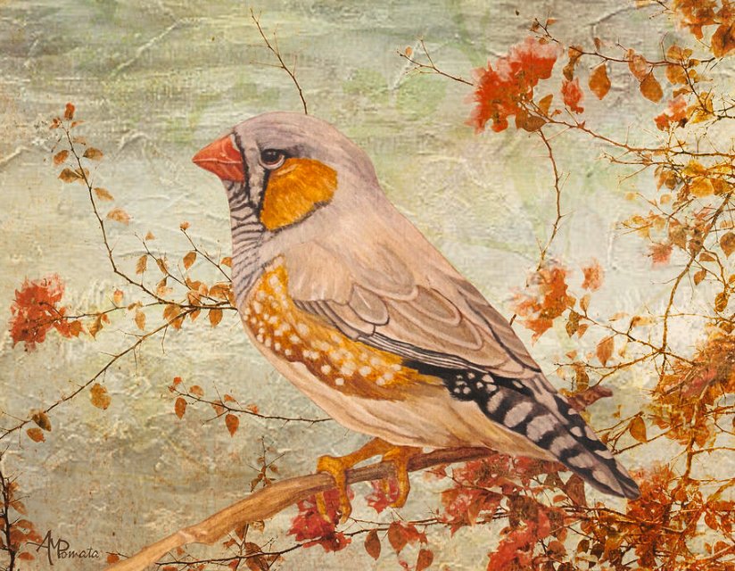 Ángeles M. Pomata tweet media