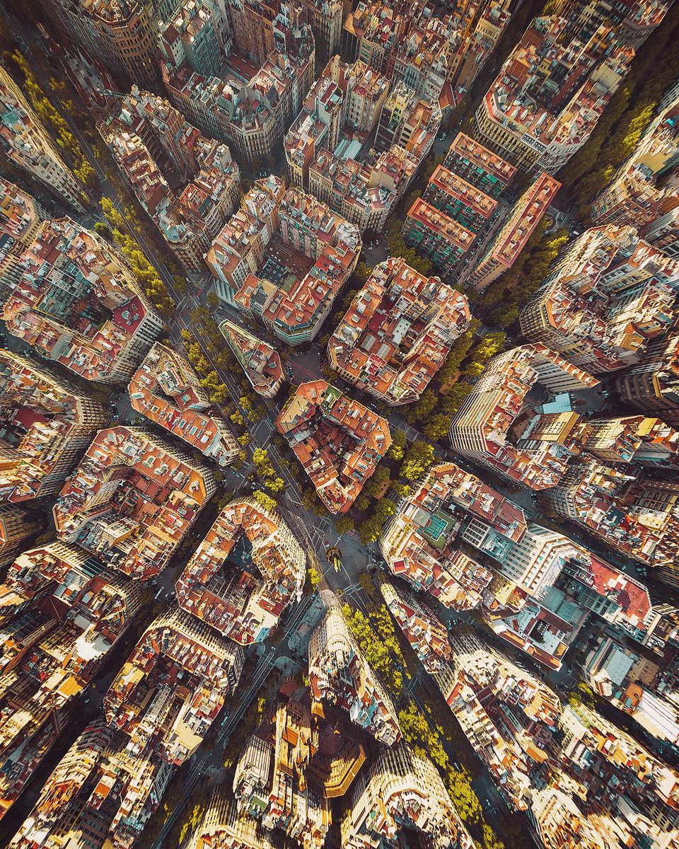 VisitBCN_EN's tweet photo. You take our breath away, #Barcelona 🤩💖 #HappyMonday!

📸 ©boluddha (IG) https://t.co/nY3Rq5uWn9