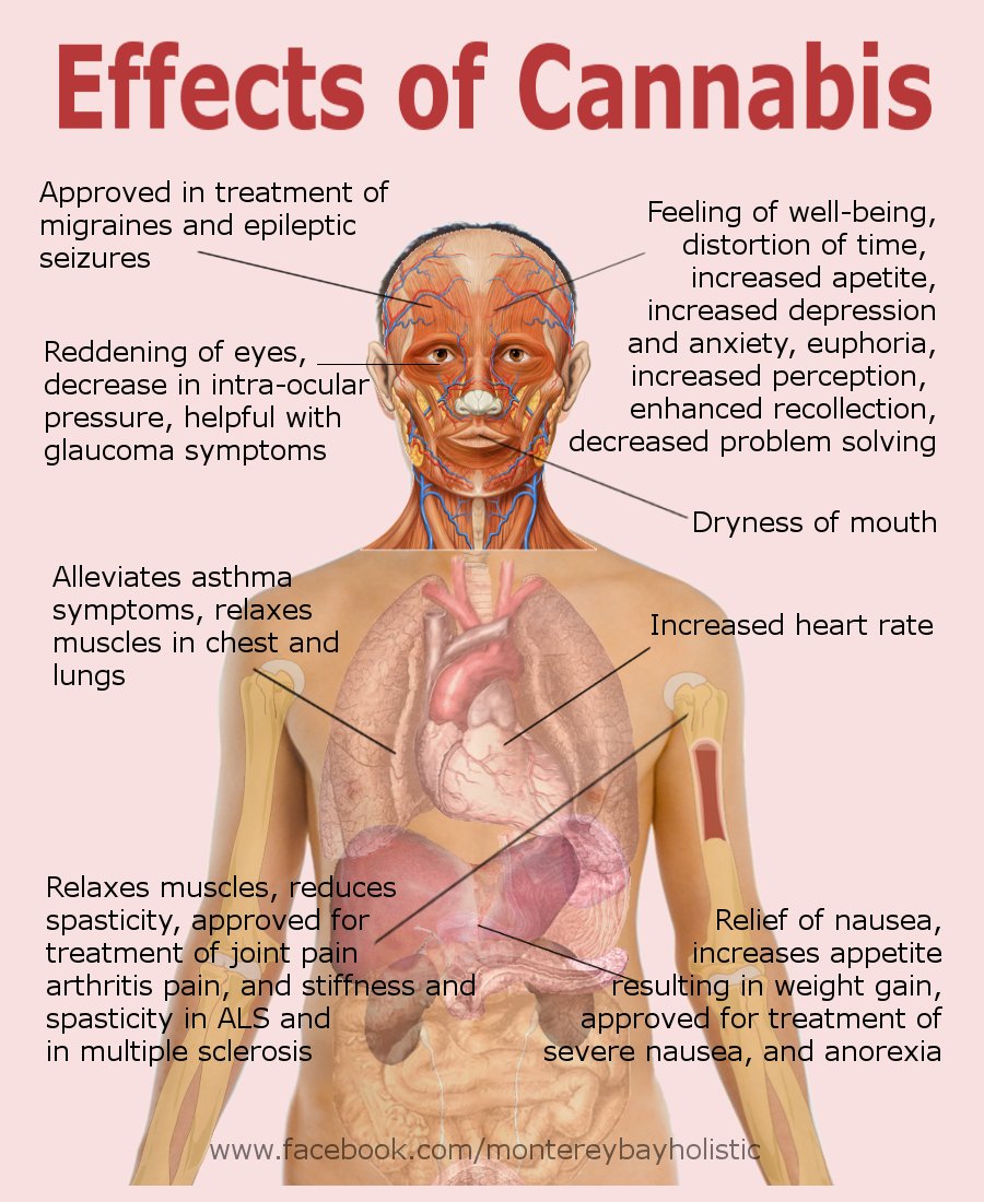 cannaworldsite's tweet photo. https://t.co/wDfcLGfb0j