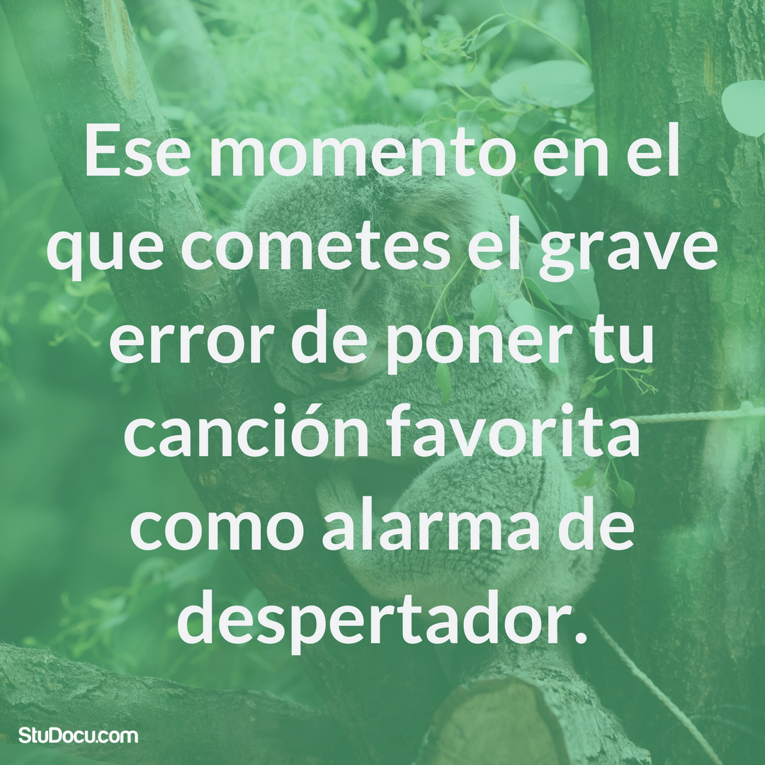 StuDocuES's tweet photo. No quiero volver a oírla en 35 años. #realidad #exámenes #universidad https://t.co/fXI5N4Aiv8