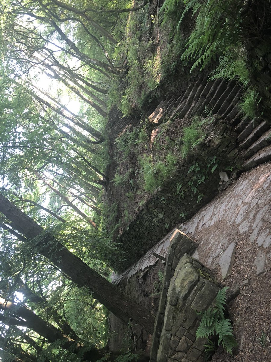 iancusick's tweet image. Which path to take, tempted by the easier one but the view after taking the harder one will be worth it. #LifeMetaphors