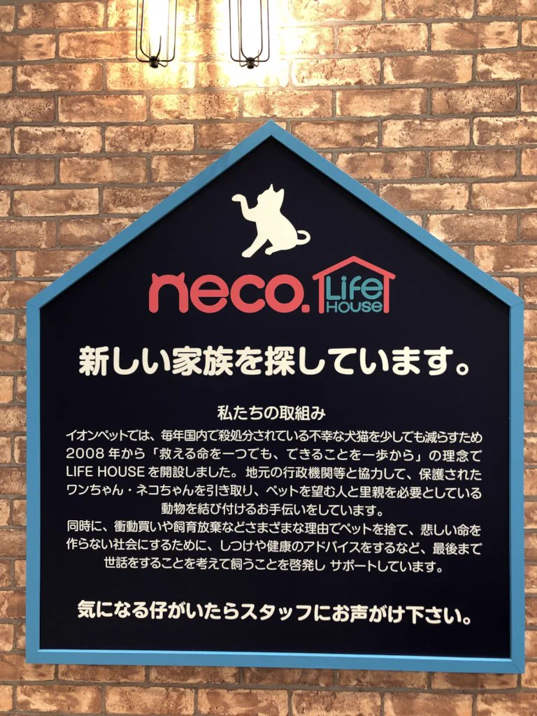 イオンの取り組み凄すぎ！！　とある事情を抱えた猫たちをサポートする活動とは？？