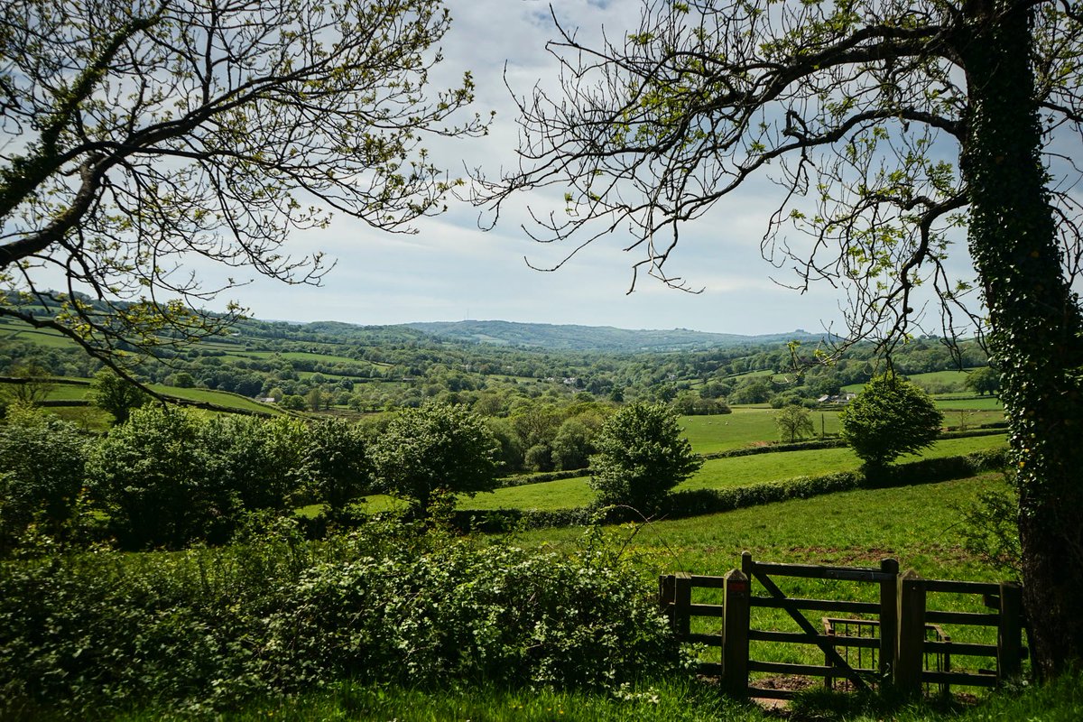 #Carmarthenshire in #May #CarregCennen #Wales #Welsh #Countryside #500pxrtg 500px.com/photo/259742031