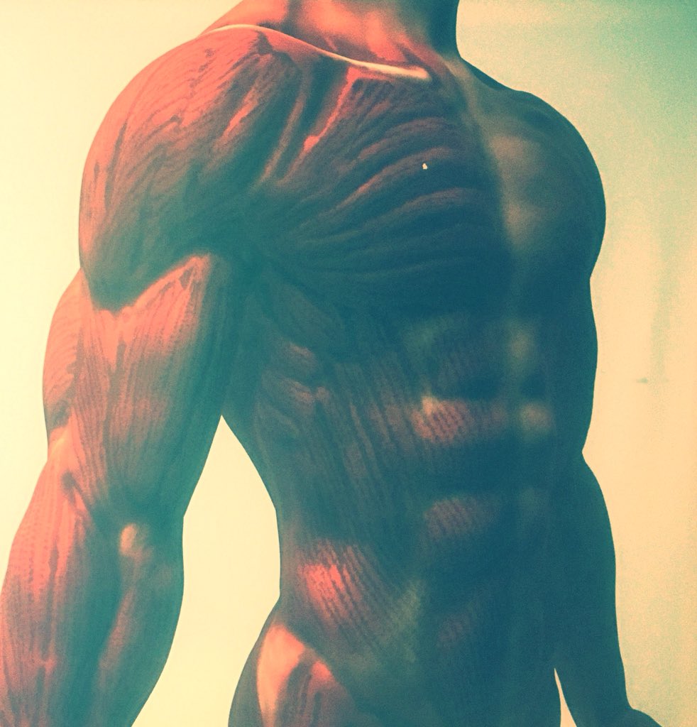 retfordsportsmassage tweet media