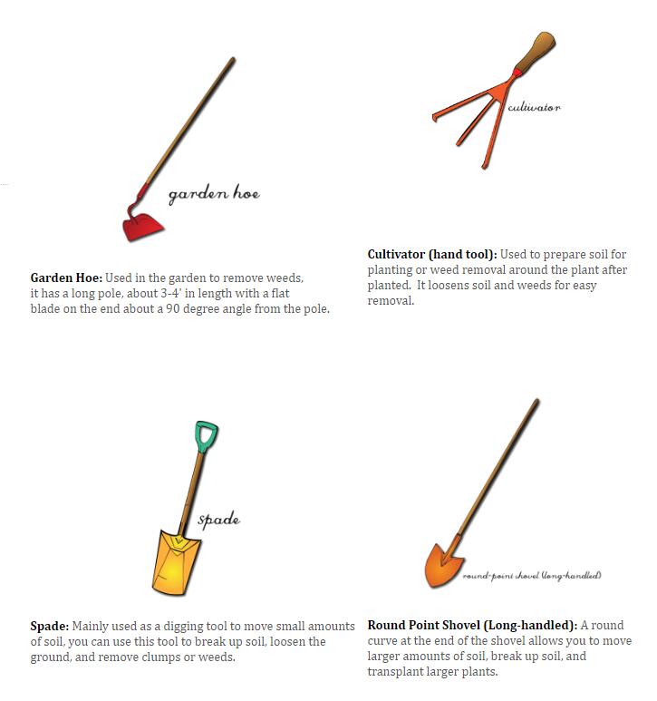 One99_Brand's tweet photo. Good morning!!
Daily garden TIPS.
Maybe you don't know so much about garden tools.
Keep learning together.
#Gardentools #gardeningtips #Morning #MondayMotivation #One99 #NBAFinal #Playoffs #LBJ #BankHolidayMonday #Tips https://t.co/ElmbifLOgL