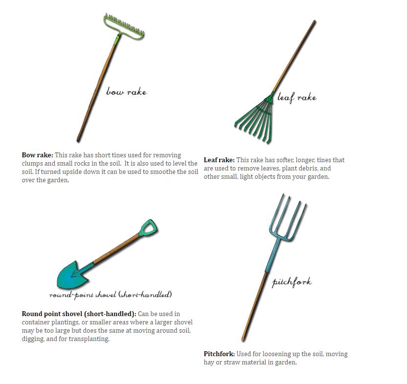 One99_Brand's tweet photo. Good morning!!
Daily garden TIPS.
Maybe you don't know so much about garden tools.
Keep learning together.
#Gardentools #gardeningtips #Morning #MondayMotivation #One99 #NBAFinal #Playoffs #LBJ #BankHolidayMonday #Tips https://t.co/ElmbifLOgL